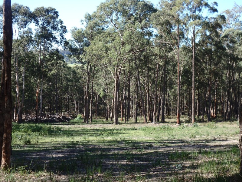 2, 680/Orrs Rd, Bairnsdale VIC 3875