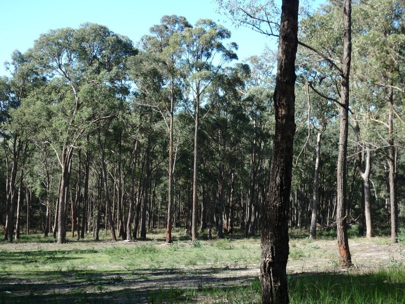 2, 680/Orrs Rd, Bairnsdale VIC 3875