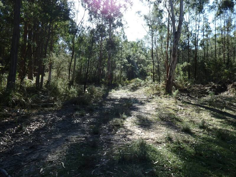 2, 680/Orrs Rd, Bairnsdale VIC 3875