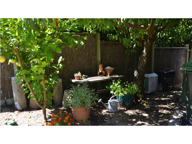 5 Kellina Ct, Paynesville VIC 3880