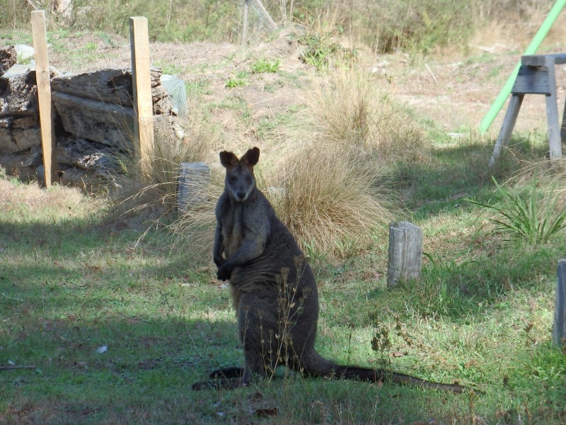 144 Stones Rd, Swan Reach VIC 3903