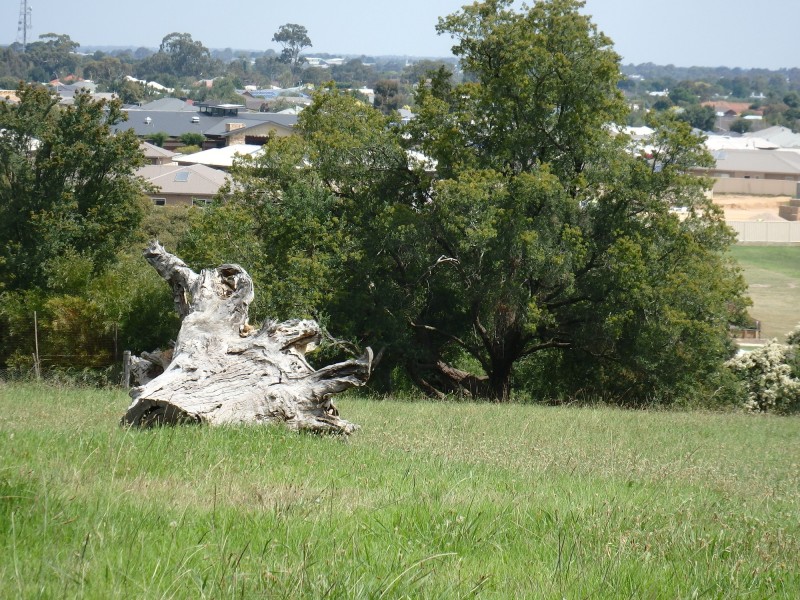 55 Mcauleys Rd, Wy Yung VIC 3875