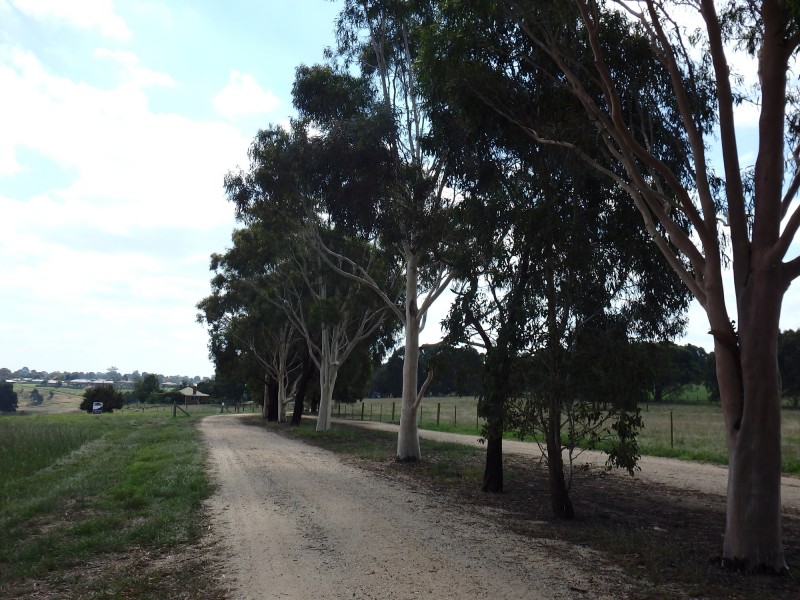 55 Mcauleys Rd, Wy Yung VIC 3875