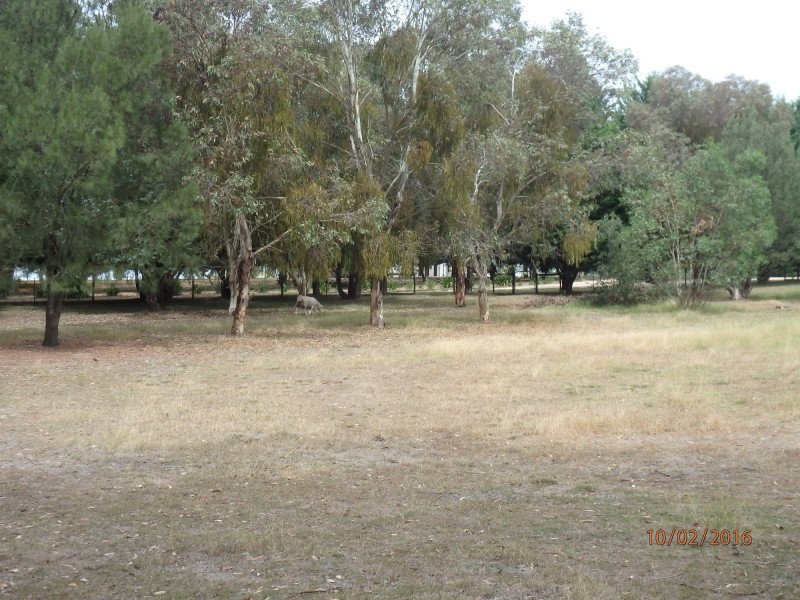 11 Dumont Dr, Wy Yung VIC 3875