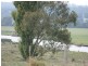 700 Nicholson-sarsfield Road, Sarsfield VIC 3875