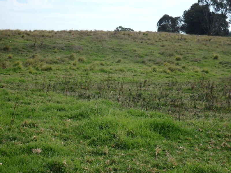 700 Nicholson-sarsfield Road, Sarsfield VIC 3875