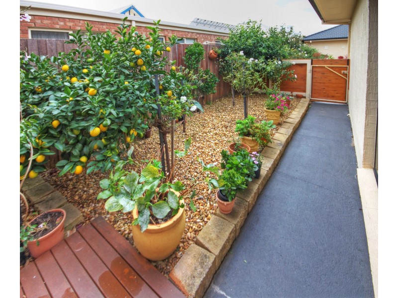 17 Windjammer Ct, Paynesville VIC 3880