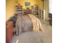 71 Moroney St, Bairnsdale VIC 3875
