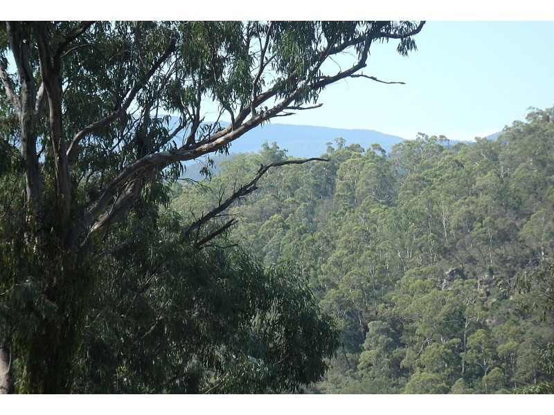 92 Hunter Lane, Buchan VIC 3885