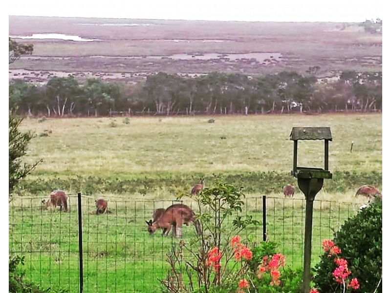 32 Fullarton Dr, Paynesville VIC 3880