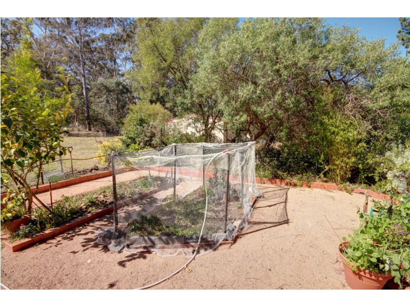 4 Moyle Ct, Nicholson VIC 3882