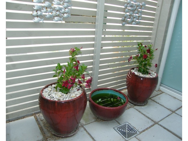 7/15 Mitchell, Paynesville VIC 3880