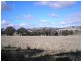 “Arley” Meadows Lane, Lyndhurst NSW 2797