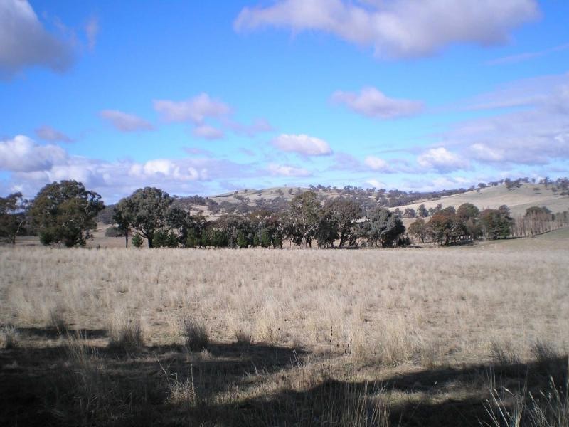 “Arley” Meadows Lane, Lyndhurst NSW 2797