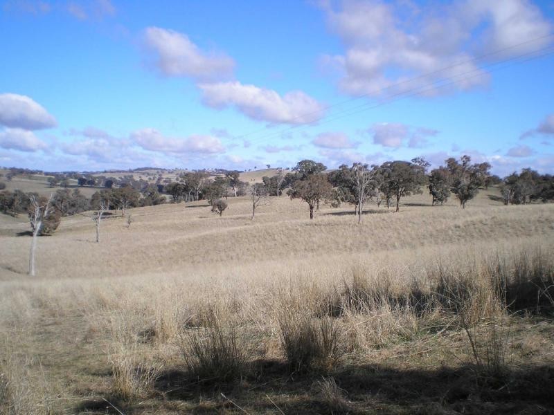 “Arley” Meadows Lane, Lyndhurst NSW 2797