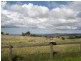 Neville NSW 2799