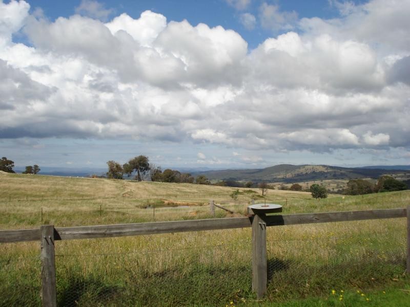 Neville NSW 2799
