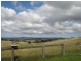 Neville NSW 2799
