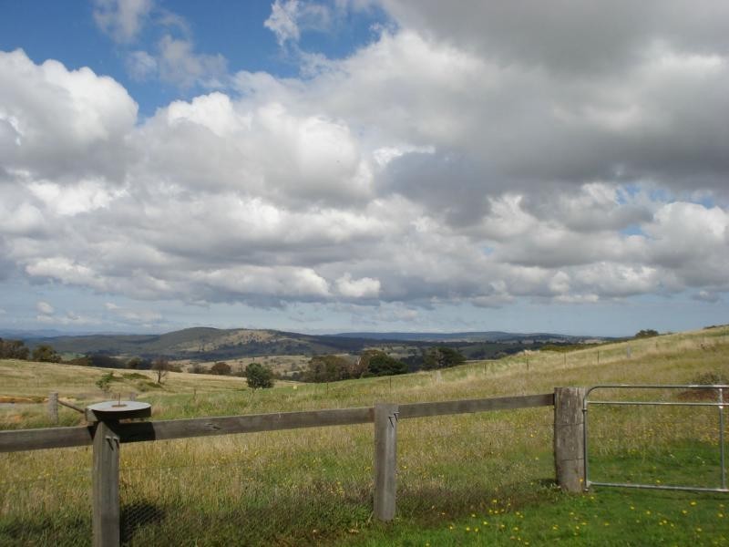 Neville NSW 2799