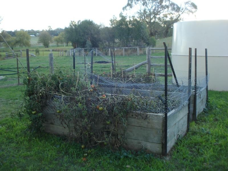 Neville NSW 2799