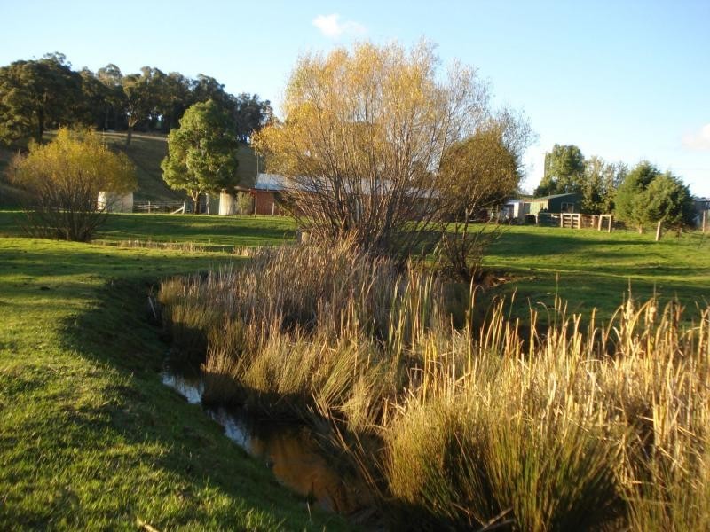 Neville NSW 2799