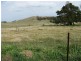 Blayney NSW 2799
