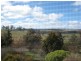 Blayney NSW 2799