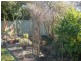Blayney NSW 2799