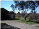 Blayney NSW 2799
