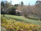 Blayney NSW 2799