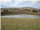 Blayney NSW 2799