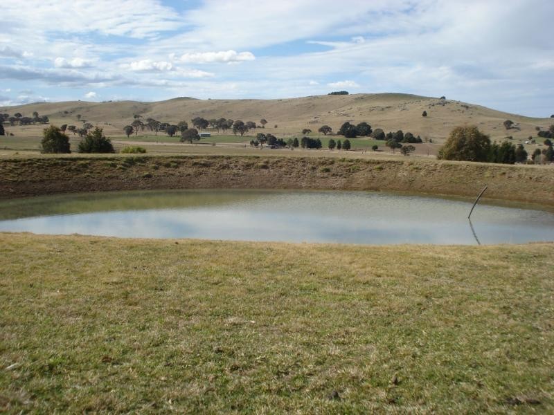 Blayney NSW 2799