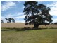 Blayney NSW 2799