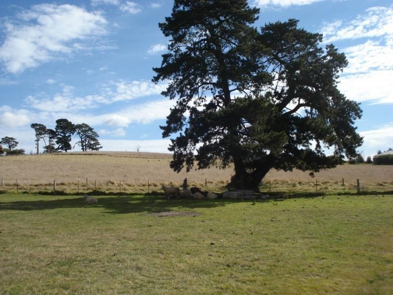 Blayney NSW 2799