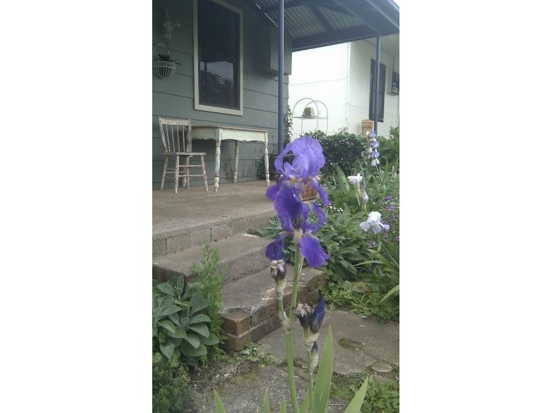 Millthorpe NSW 2798