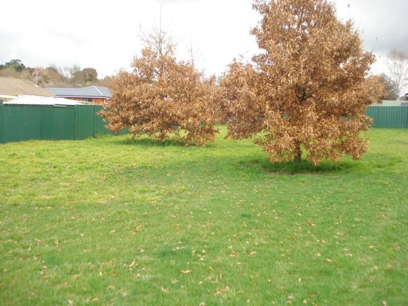 Blayney NSW 2799