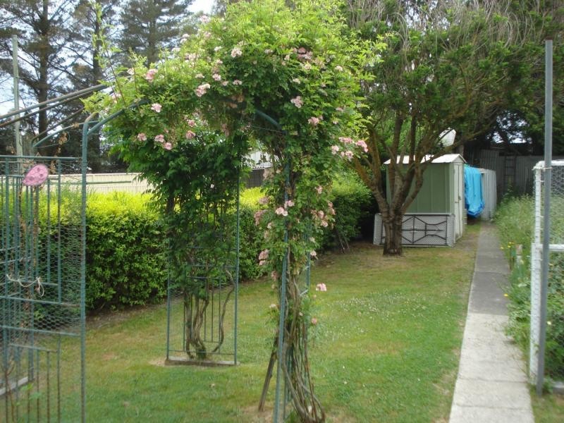 Blayney NSW 2799