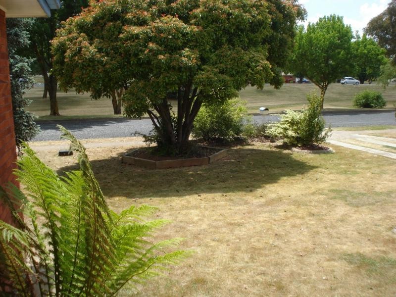 Blayney NSW 2799