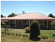 Lyndhurst NSW 2797