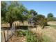 Lyndhurst NSW 2797