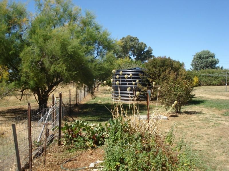 Lyndhurst NSW 2797