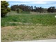 Blayney NSW 2799