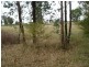 Neville NSW 2799