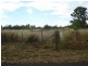 Neville NSW 2799