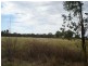 Neville NSW 2799