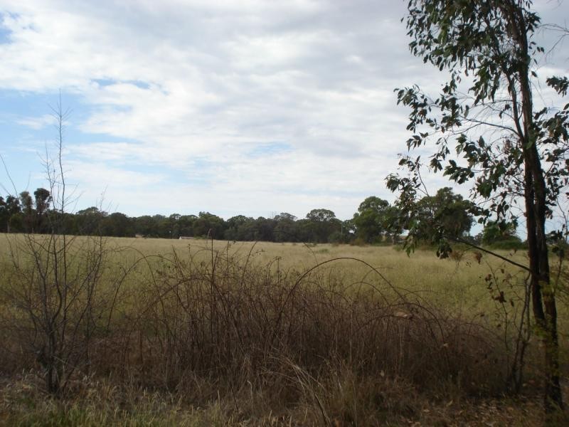 Neville NSW 2799