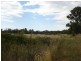 Neville NSW 2799