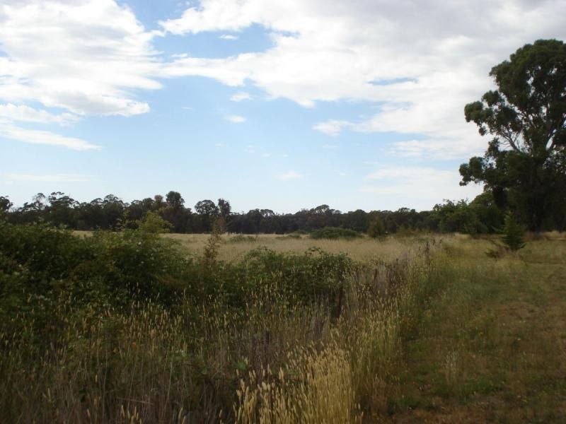 Neville NSW 2799