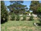Blayney NSW 2799