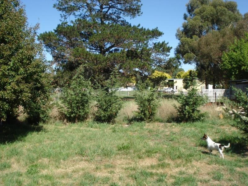 Blayney NSW 2799